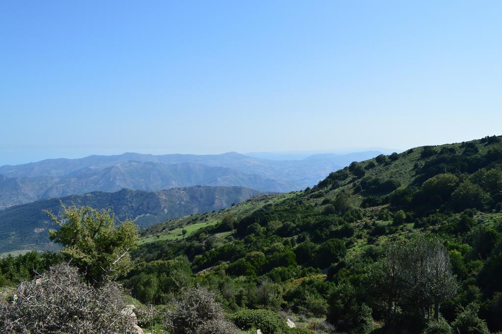 Il Castello Bed & Breakfast Petralia Sottana Dış mekan fotoğraf