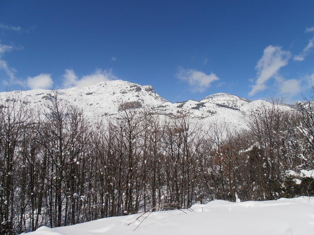 Il Castello Bed & Breakfast Petralia Sottana Dış mekan fotoğraf